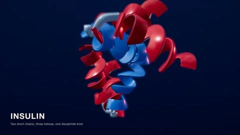 Insulin protein structure red blue medical technology loop 스톡 동영상 343737779