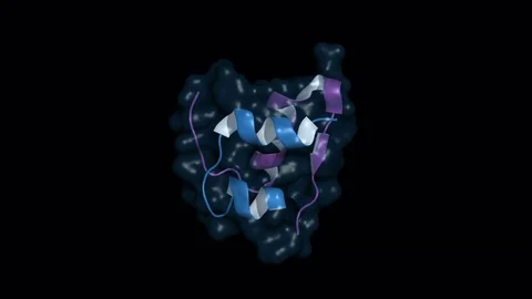 Insulin, rotating model 스톡 동영상 73039820
