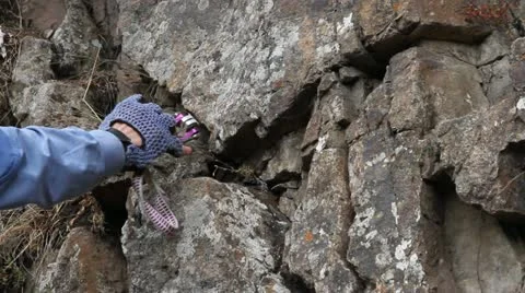 Insurance point Video stock 12157279