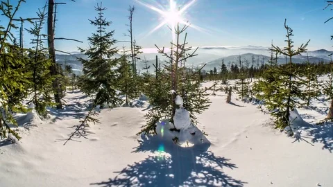 Intact Winter Tree Panorama Timelapse 4k Stock Footage 71989470