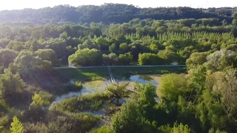 Integral nature reserve Stock Footage 276545250