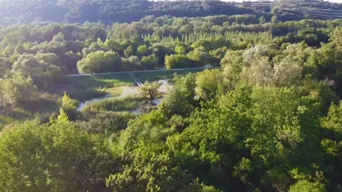 Integral nature reserve Stock Footage 276545252