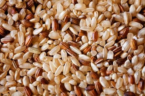 Integral rice Foto stock gratuite
