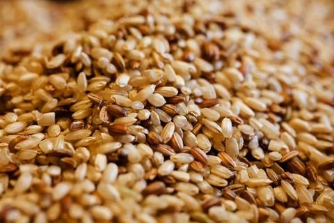 Integral rice Foto stock gratuite