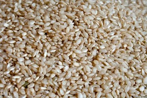 Integral rice Stock Photos