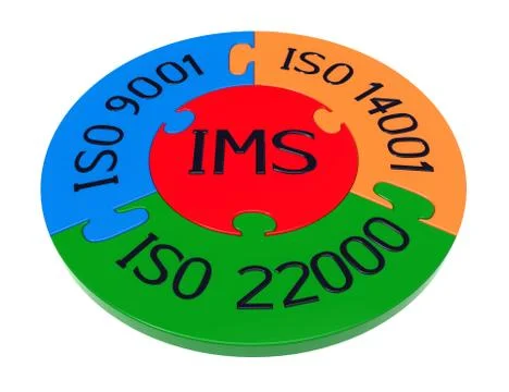 Integrated management system Illustrazione stock
