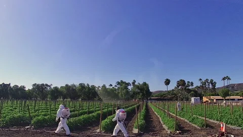 Integrated Pest Management Technicians wearing white chemical suits Stock Footage 277514481