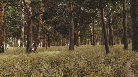 Integration of technology in a natural environment, 3D render Stock Illustration