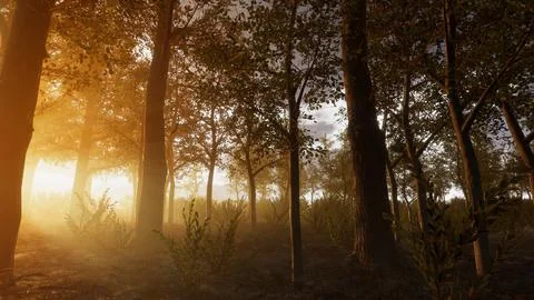 Integration of technology in a natural environment, 3D render Stock Illustration