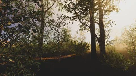 Integration of technology in a natural environment, 3D render Stock Illustration