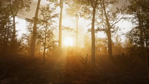 Integration of technology in a natural environment, 3D render Stock Illustration