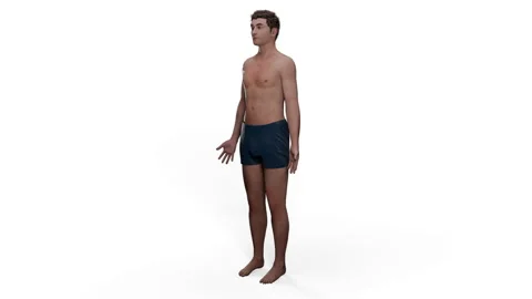 Integumentary System Stock Footage 289390116