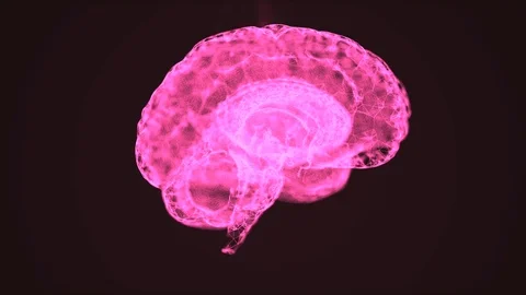 Intellectual property concept. Abstract brain mock-up of small shining pink Stock Footage 121809869