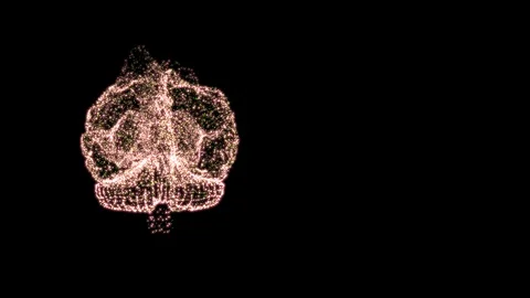 Intellectual property concept. Abstract brain mock-up of small shining particles Stock Footage 121810875