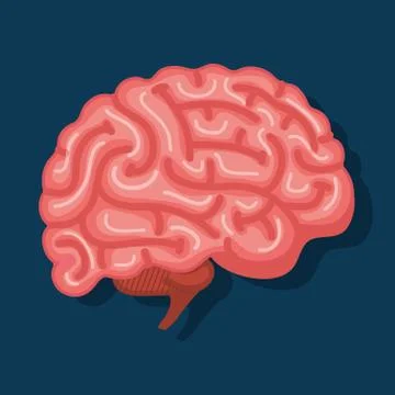 Intelligence brain with memory and health creative Stock Illustration