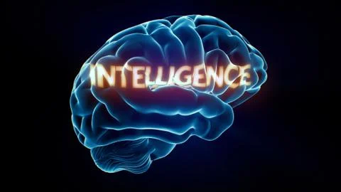 Intelligence xray brain Stock Illustration