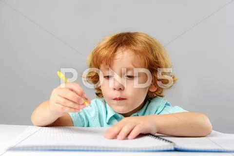 Intelligent kid drawing at lesson Stock Photos