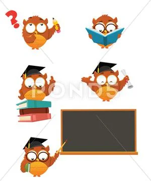 Intelligent Owl set Stock Illustration