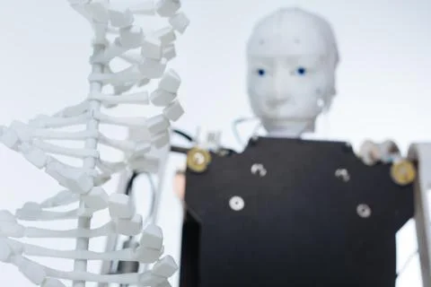 Intelligent robot staring at the model of a DNA 스톡 사진