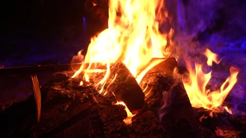 Intense 4K close up of dynamic orange flames consuming wood logs in a campfire Видео 328758925