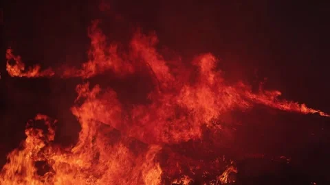 Intense Amazon Forest Wildfire Flames and Heatwaves in Brazil at Night Stock Footage 345376884