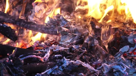 The intense Blaze, set against the dark Night of the Forest Area Stock Footage 323381558