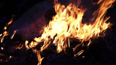 The intense Blaze, set against the dark Night of the Forest Area Stock Footage 323381600