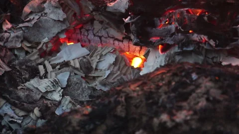 The intense Blaze, set against the dark Night of the Forest Area Stock Footage 323381950