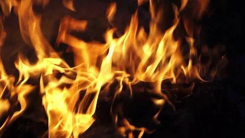 The intense Blaze, set against the dark Night of the Forest Area Stock Footage 323382049