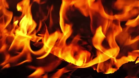 The intense Blaze, set against the dark Night of the Forest Area Stock Footage 323382081