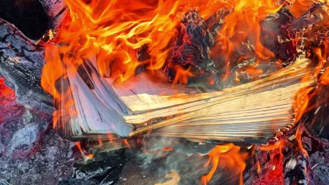 Intense Burning Book in Flames: A Dramatic Symbol of Change Stock Footage 333309544