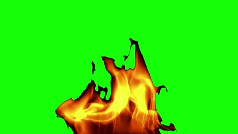 Intense burning fire flames rising dynamically against isolated green screen Vidéo 345101996