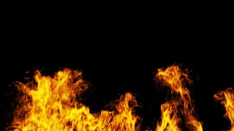 Intense Burning Fire Line with Rising Flames, Flying Sparks and Dynamic Embers Stock Footage 345363231