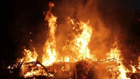 Intense Bush Fire With Ashes Flying Toward The Sky Video stock 127875334