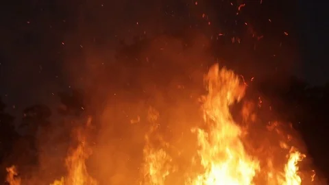 Intense Bush Fire with ashes flying toward the sky Video stock 127875464