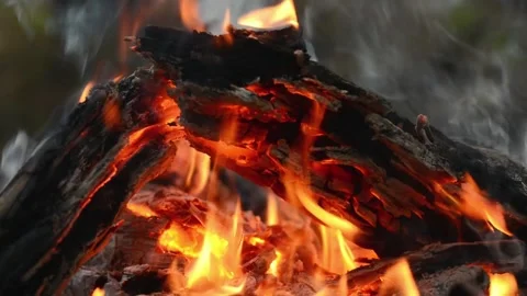 Intense Campfire Flames and Hot Wood Coals Loop Stockbeeldmateriaal 344746620