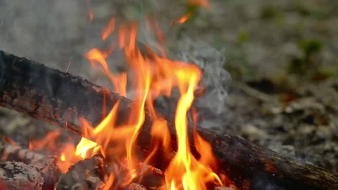 Intense Campfire Flames and Smoke Loop 動画素材 343343608
