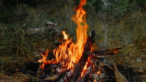 Intense Campfire Flames and Wood Logs Loop 動画素材 343343376