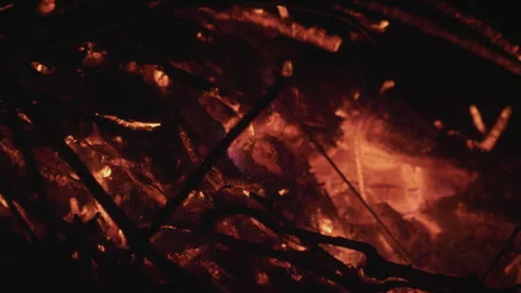 Intense Closeup of Flickering Fire and Glowing Embers Stock Footage 284109265