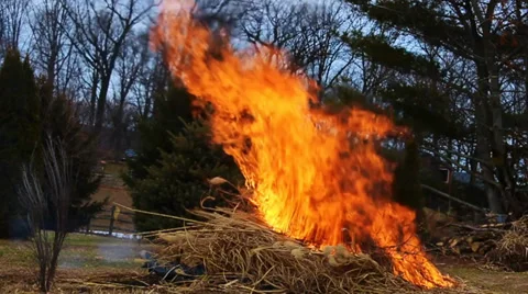Intense Fire Burning Brush 스톡 동영상 36481958