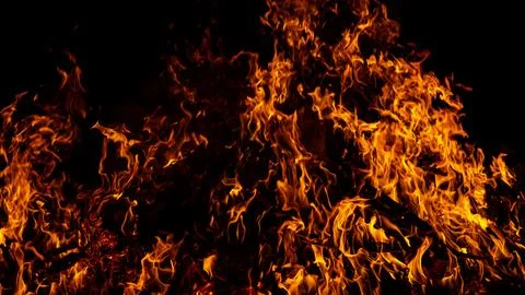 Intense fire flames burn above wood. Fire overlay from burning wood. Fire Stock Photos