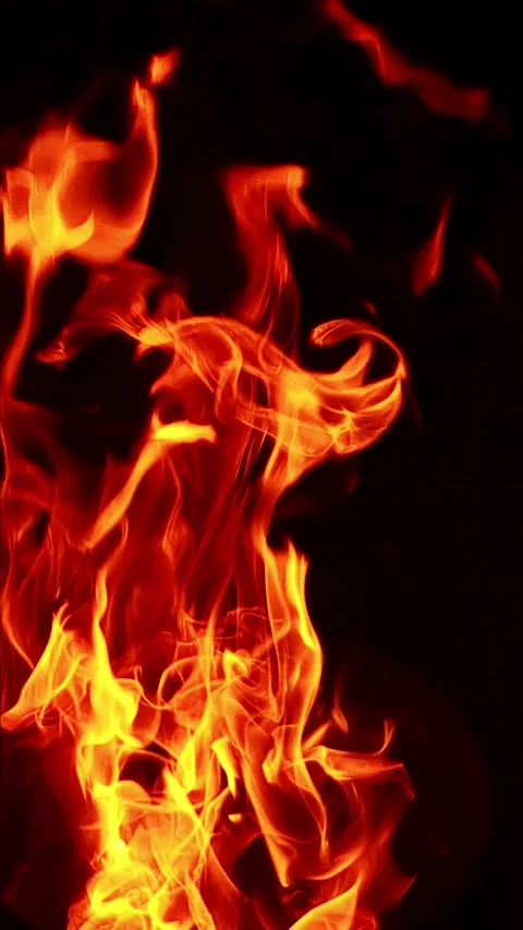 Intense Fire Flames Burning Against Dark Background Stock Footage 328562113