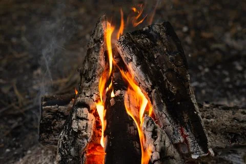 Intense Flames and Burning Logs in Forest Campfire Stock Photos