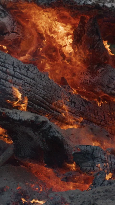Intense flames burning large charred wooden logs in a blazing fire. Fire burns Stock Footage 341916817