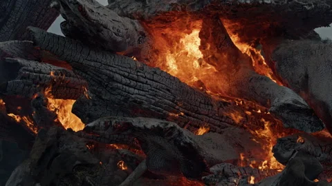 Intense flames burning large charred wooden logs in a blazing fire. Flames rise Stock Footage 341917890