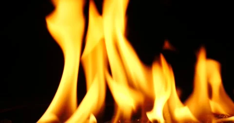 Intense flames dancing in darkness during a late-night bonfire Video stock 281816354