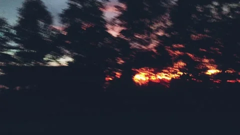 Intense flames engulf trees in a dramatic forest fire. Stock Footage 303773602