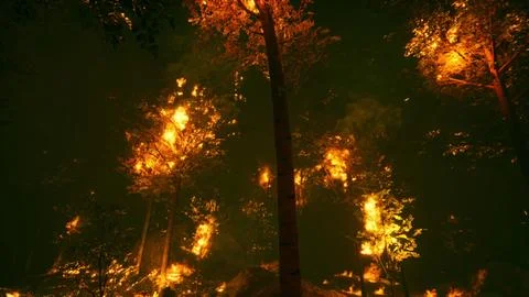 Intense flames from a massive forest fire Illustrazione stock