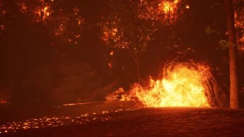 Intense flames from a massive forest fire Illustrazione stock