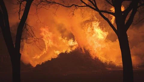 Intense flames from a massive forest fire. Flames light up the night Stock Photos